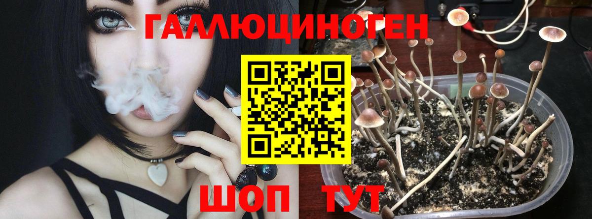 Псилоцибиновые грибы прущие грибы  Вход с VPN  Дивногорск 